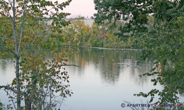 River Views from Property