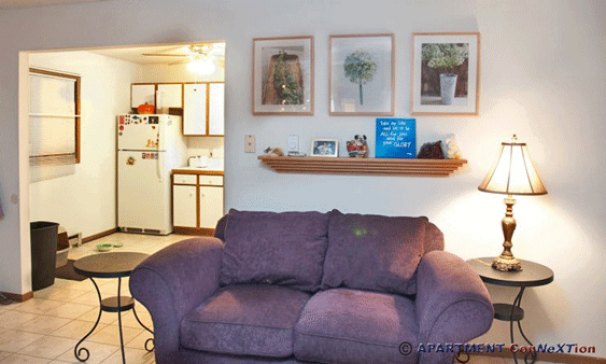 Living Room (View toward Kitchen)