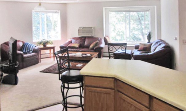 Living Room from Kitchen