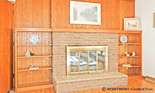 Living Room Fireplace