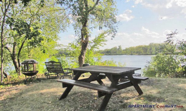 Lake View from Picnic Area