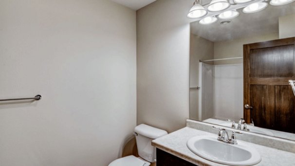 Bathroom 2 Lower Level