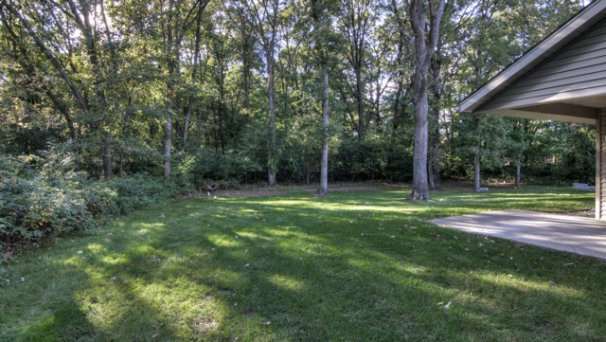Wooded Back Yard